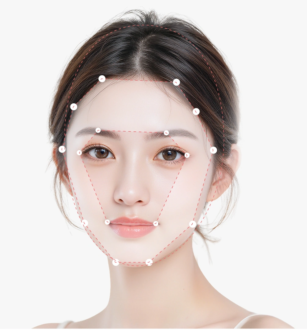 Facial contour analysis