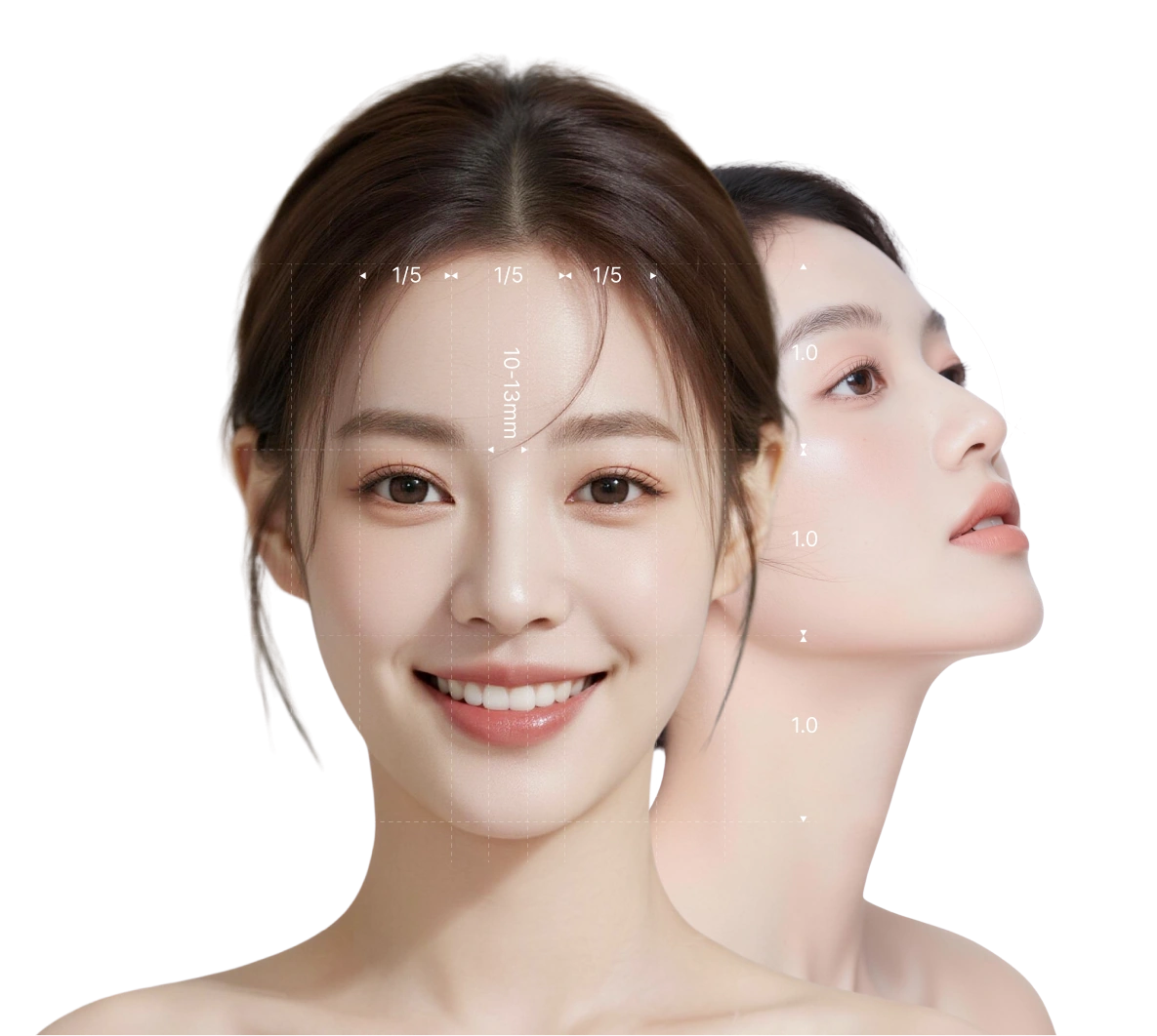 Nasal aesthetic standards models
