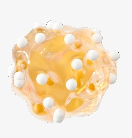Autologous Fat Graft