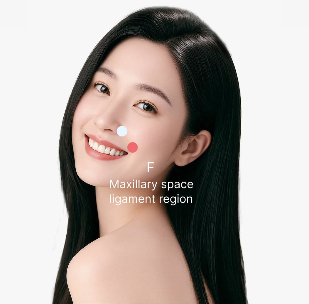 Maxillary Space Ligament Lifting