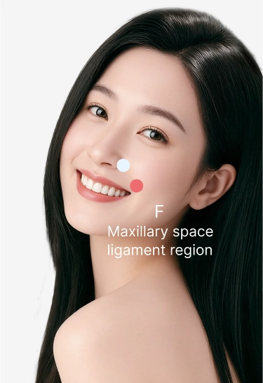 Maxillary Space Ligament Lifting